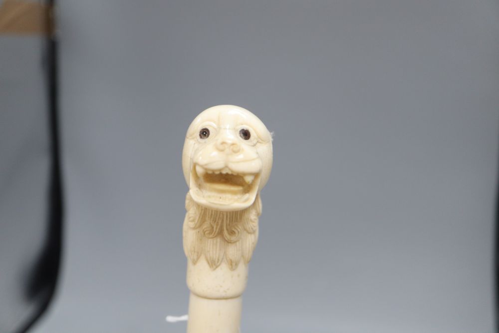 An Indian bone walking cane, with dog handle, c.1960, length 92cm